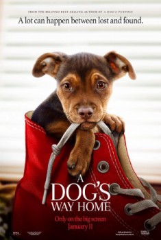 poster A Dog's Way Home&nbsp;&nbsp;(2019)
